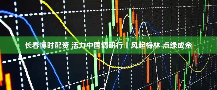 长春博时配资 活力中国调研行丨风起梅林 点绿成金