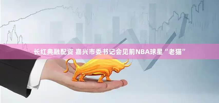 长红典融配资 嘉兴市委书记会见前NBA球星“老猫”