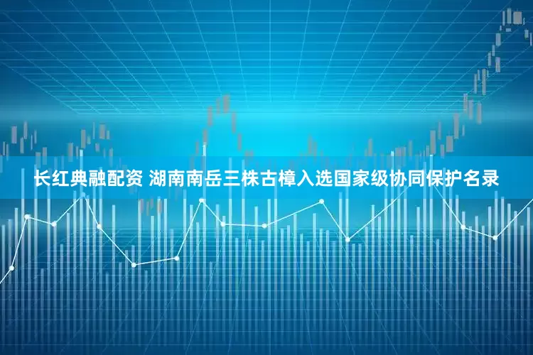 长红典融配资 湖南南岳三株古樟入选国家级协同保护名录
