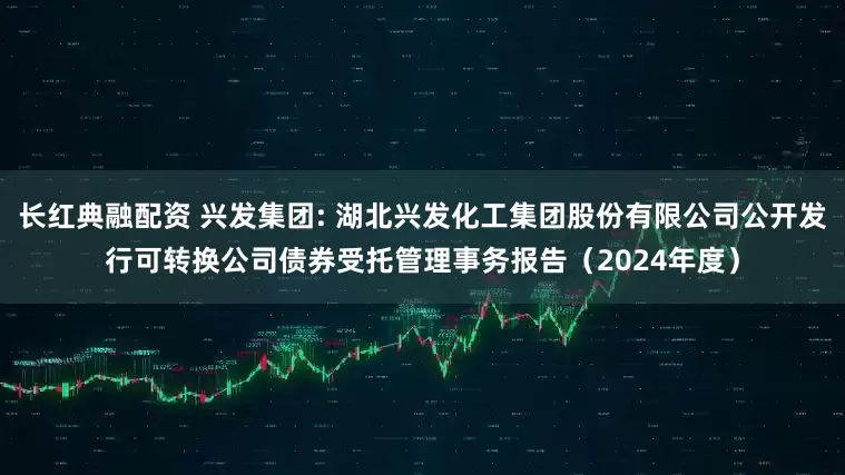 长红典融配资 兴发集团: 湖北兴发化工集团股份有限公司公开发行可转换公司债券受托管理事务报告（2024年度）
