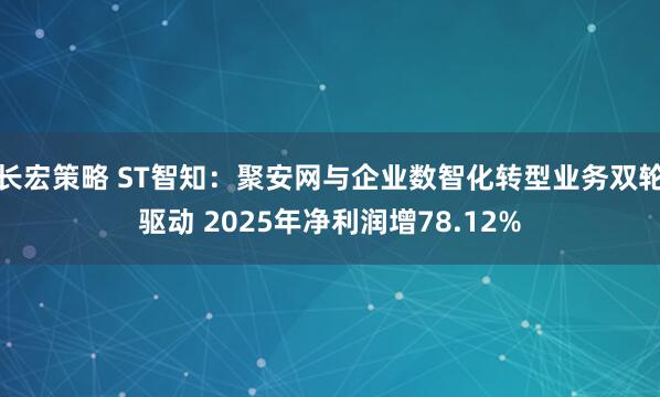 长宏策略 ST智知：聚安网与企业数智化转型业务双轮驱动 2025年净利润增78.12%